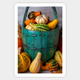 Green Bucket Full Of Autumn Pumpkins And Gourds Sticker